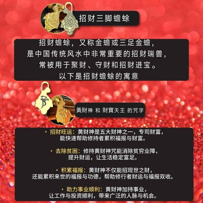 VIVARA Feng Shui Wallet 福满风水钱包 - Image 6