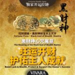 VIVARA Wealth-Attracting Card Holder VIVARA 招财聚财卡包 - Image 5