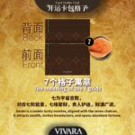 VIVARA Wealth-Attracting Card Holder VIVARA 招财聚财卡包 - Image 7