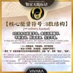 VIVARA Exclusive Wealth-Attracting Zip Wallet 独家开运风水包包 - Image 3