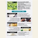 15 SACHETS MCT PLUS MILK TEA - Image 2