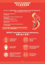 15 SACHETS XS MOROFIT - Image 5