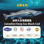 150ML FISH COLLAGEN JELLY 养颜美容鱼鳞冻 - Image 2