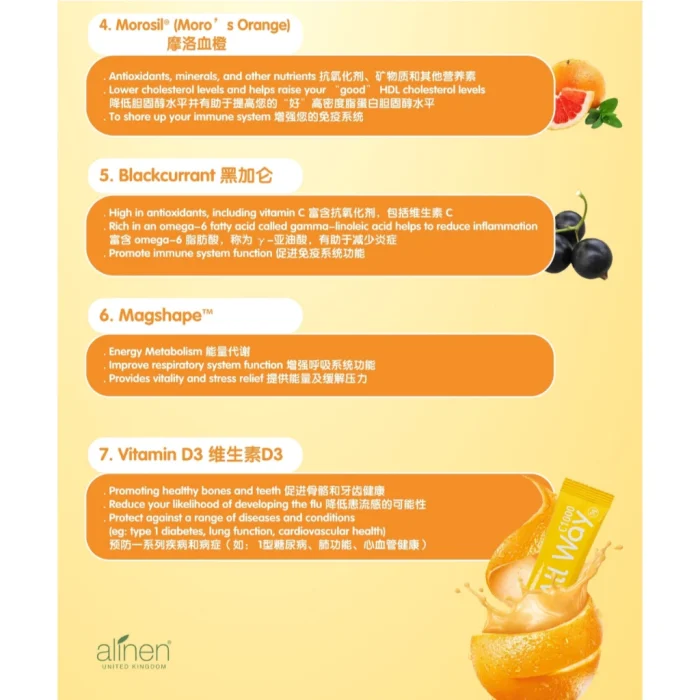 30 SACHETS ALINEN UK ALL WAY C1000 - Image 3