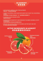 15 SACHETS XS MOROFIT - Image 4