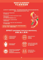 15 SACHETS XS MOROFIT - Image 5