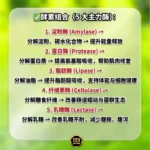 TUMMYPRO 胃部最佳救星 | Gastro-AD® Mixed Berry Juice Powder Multienzyme + Digezyme Live Culture - Image 7