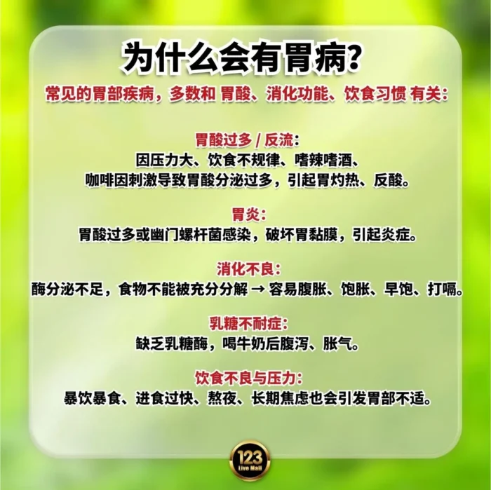 TUMMYPRO 胃部最佳救星 | Gastro-AD® Mixed Berry Juice Powder Multienzyme + Digezyme Live Culture - Image 9