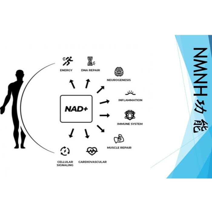 Bioline Active | NMNH - Image 6