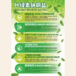 500ML LIQUID VITAGREEN 液体叶绿素营养饮 - Image 4