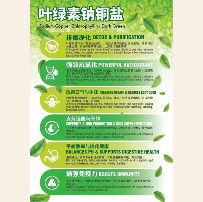 500ML LIQUID VITAGREEN 液体叶绿素营养饮 - Image 4