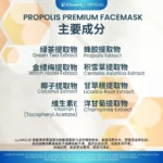 28ML PROPOLIS PREMIUM PAPERMASK 蜂胶面膜 - Image 2