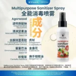 Multipurpose Sanitizer Spray (100ML) - Image 2
