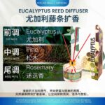 Eucalyptus Reed Diffuser (250ML) 桉树香氛扩香器 - Image 2