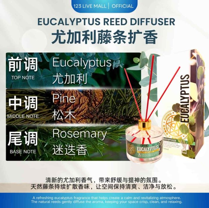 Eucalyptus Reed Diffuser (250ML) 桉树香氛扩香器 - Image 2