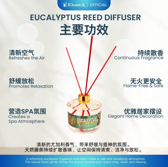 Eucalyptus Reed Diffuser (250ML) 桉树香氛扩香器 - Image 3