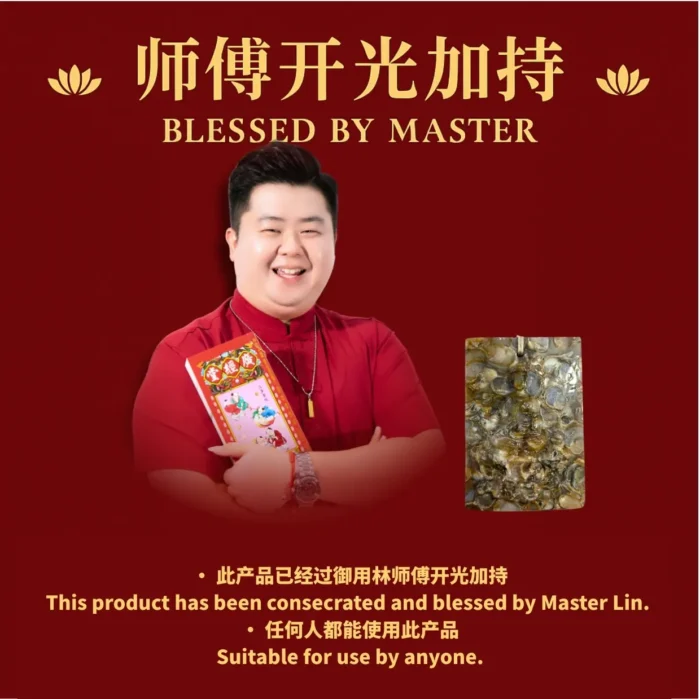 Fox Immortal Treasure Relic Amulet 独家能量极强财宝舍利狐仙娘娘佛牌 - Image 3