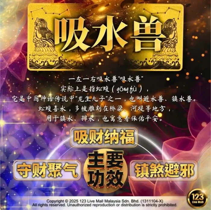 Heavenly Prosperity Energy Gold Card 天禄纳福能量金卡 - Image 5
