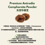 (15 SACHETS) ANTROTIG - Image 2