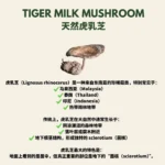 (15 SACHETS) ANTROTIG - Image 3