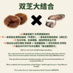 (15 SACHETS) ANTROTIG - Image 4