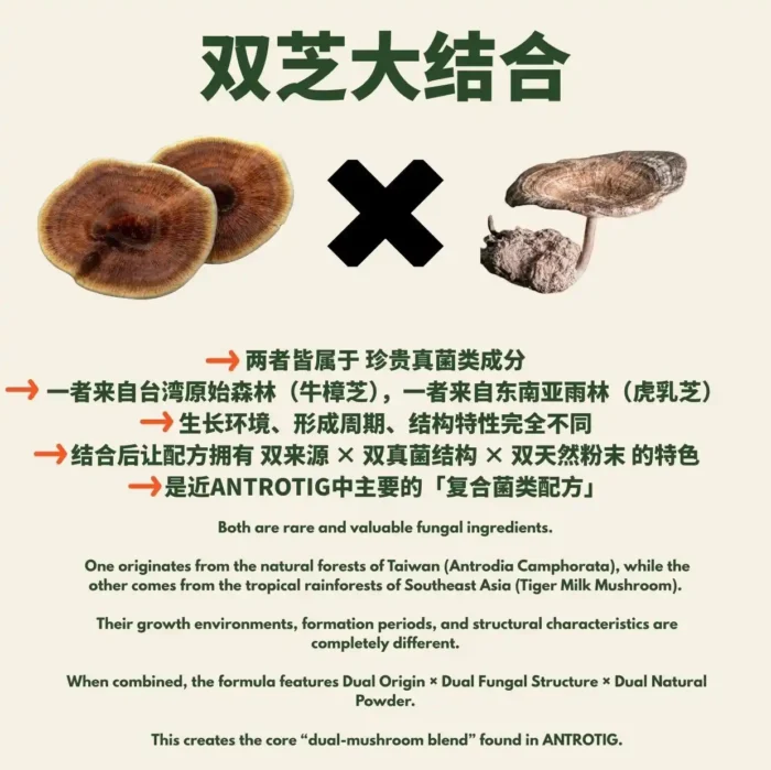 (15 SACHETS) ANTROTIG - Image 4