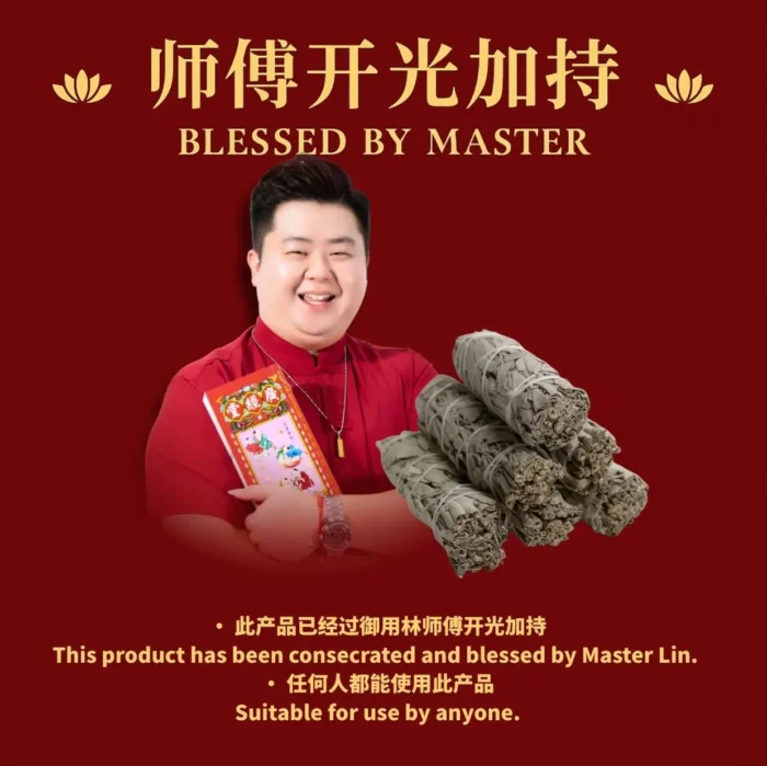 (45G) Sage 鼠尾草 - Image 4