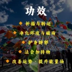 Sacred Tibetan Ganden Blessing Powder (100G) 西藏圣山灵粉甘丹粉 - Image 4