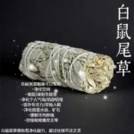 (45G) Sage 鼠尾草 - Image 2