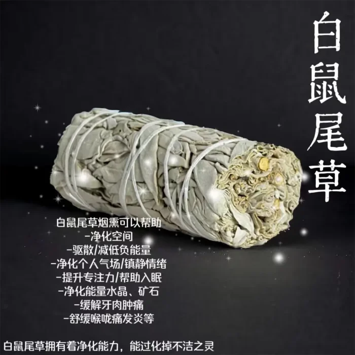 (45G) Sage 鼠尾草 - Image 2