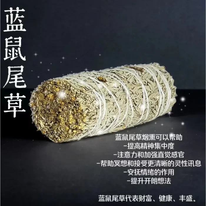 (45G) Sage 鼠尾草 - Image 3