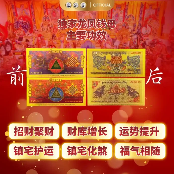 Dragon & Phoenix Wealth Coin 独家龙凤呈祥招财钱母 - Image 2